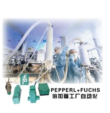 P+F�����Զ���